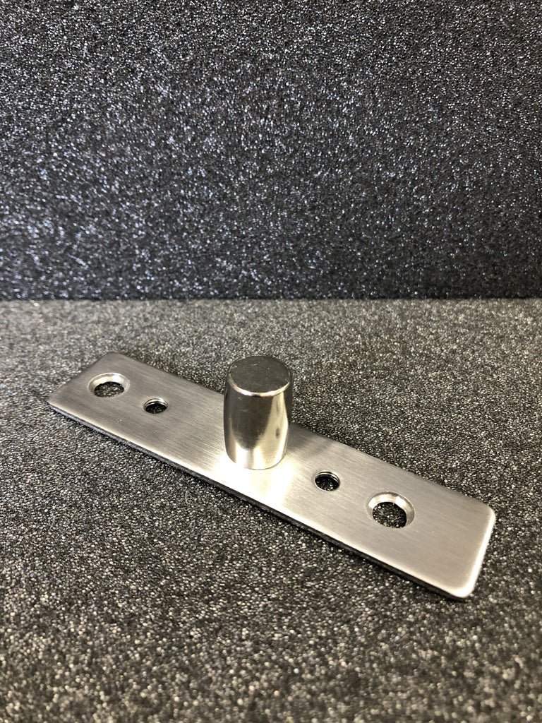 Top Patch Pivot Plate Glass Door  - Stainless Brushed - QIC Ironmongery 